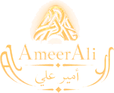 AmeerAli